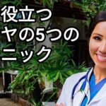 お勧め動画：パタヤ移住。結局、健康が一番大切