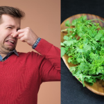 パクチーの感じ方に「遺伝子」が決定的な役割を果たしていた