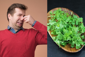 パクチーの感じ方に「遺伝子」が決定的な役割を果たしていた