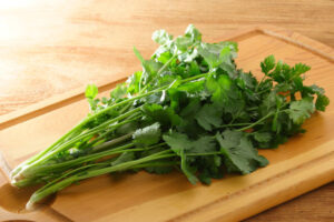 あなたはパクチーは好きですか?