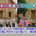 第5回：「正しさ」という檻を抜け、路地裏の智慧を纏う。バンコクの風に吹かれて辿り着いた、魂の調合レシピ